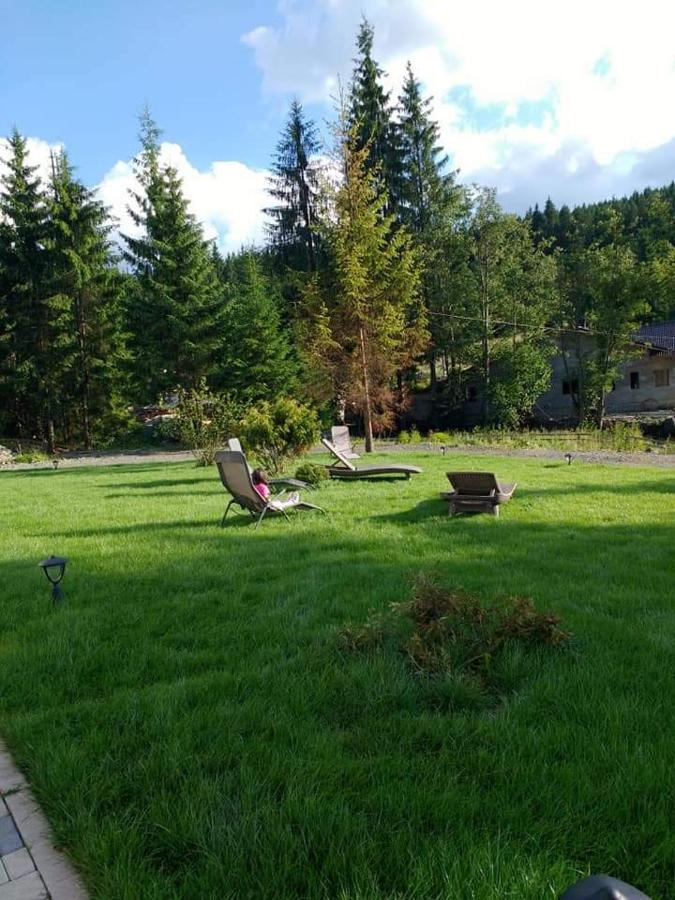 Pensiunea Izvorul Zanelor Colibita Luaran gambar